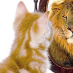 Imagen de gatito mirándose al espejo